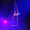 Caitlyn Dance Trapeze