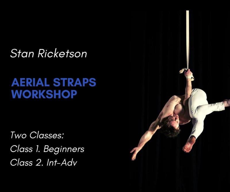 Stan Ricketson Aerial Straps Workshop
